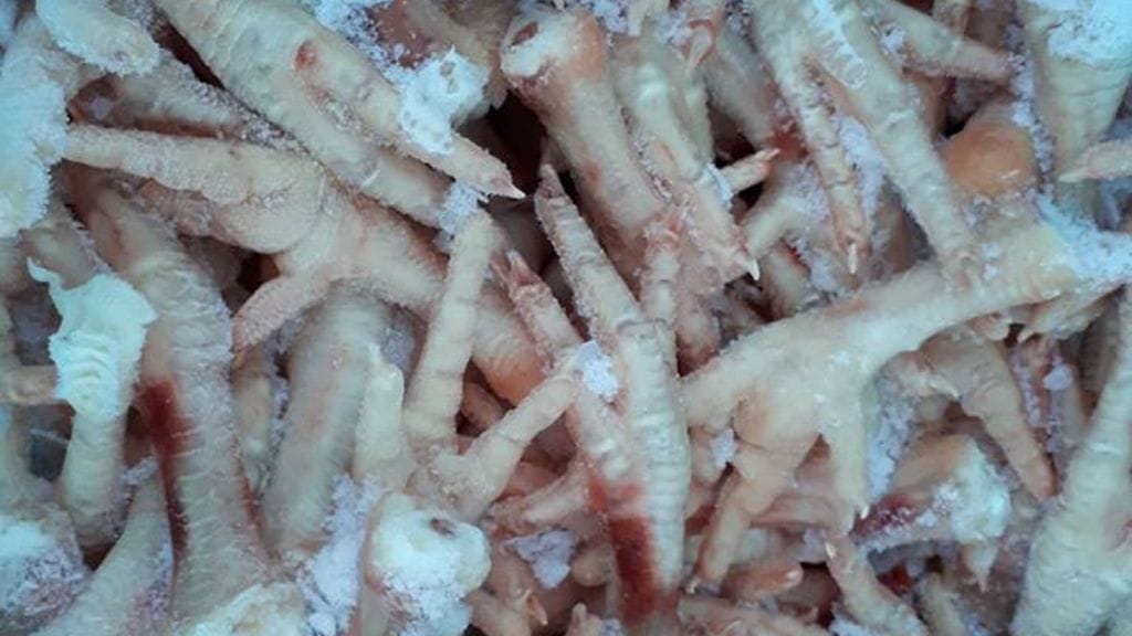 kananvarpaatMAARITÄLÄKÄYTÄ