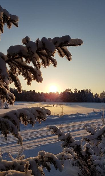 Photo 22.1.2019 9.14.07