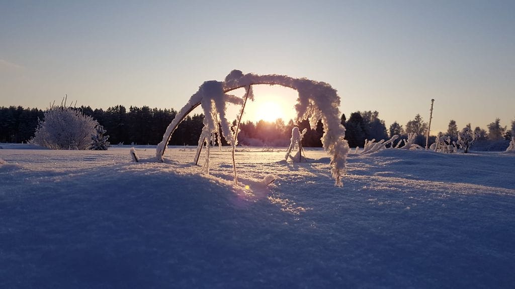 Photo 22.1.2019 9.14.08