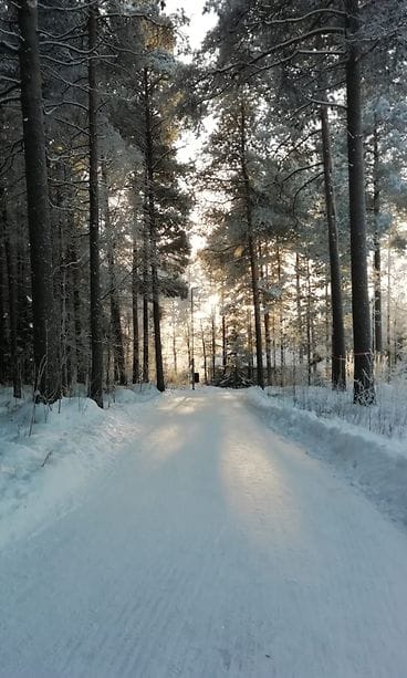 Photo 22.1.2019 14.11.07