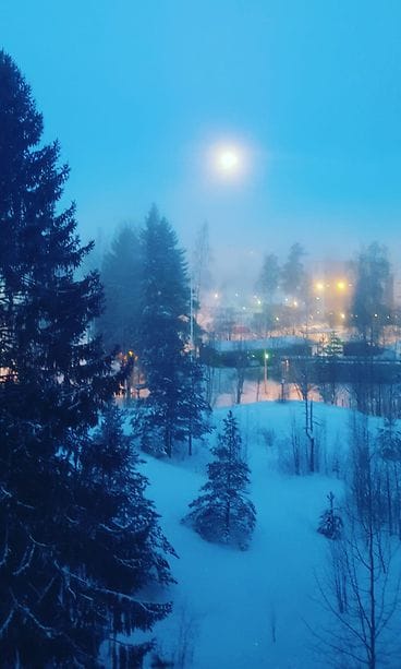 Photo 22.1.2019 10.59.14