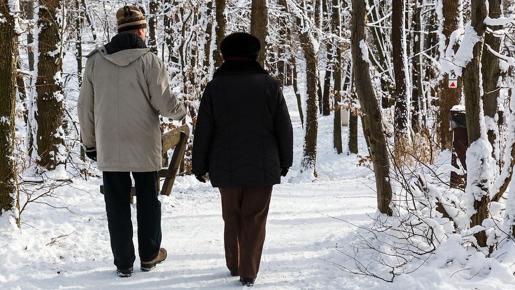 shutterstock_568299901