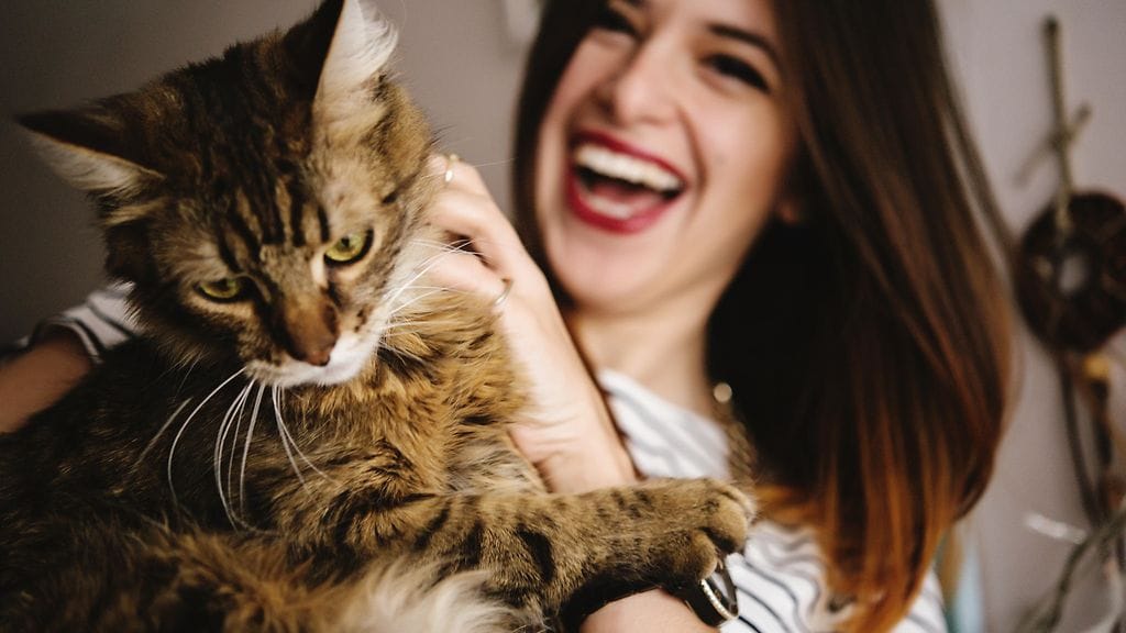 Shindo Rinkan luova suunnittelutoimisto yhdessä naamioiin erikoistuneen yrityksen kanssa valmistaa asiakkailleen naamareita, jotka muistuttavat pelottavan yksityiskohtaisesti asiakkaiden lemmikkejä, kertoo Japan Today. Kuvituskuva.