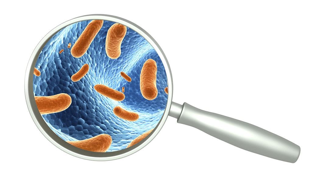 Suurennuslasi ja bakteerit