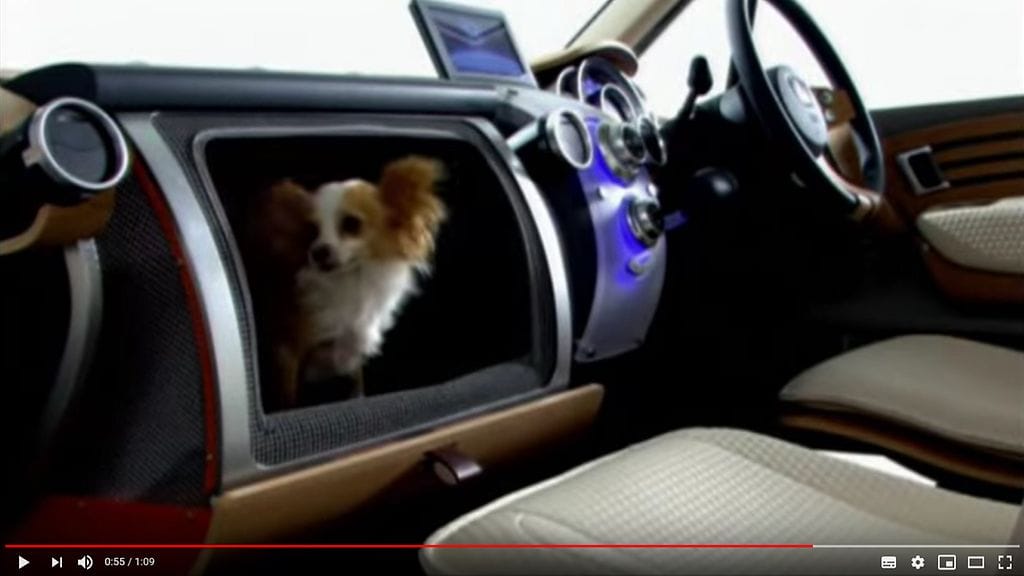 Honda ja koira hansikaslokerossa