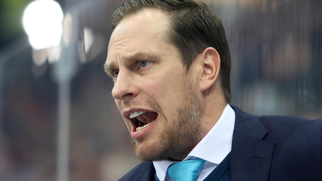 Ville Nieminen, Pelicans.