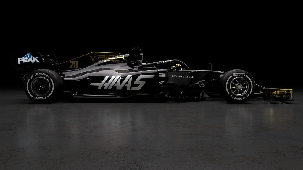 Haas 2019 (4)