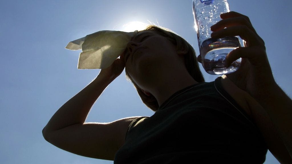 Ihon viilennys ja riittävä juominen pelastavat lämpöstressiltä.
