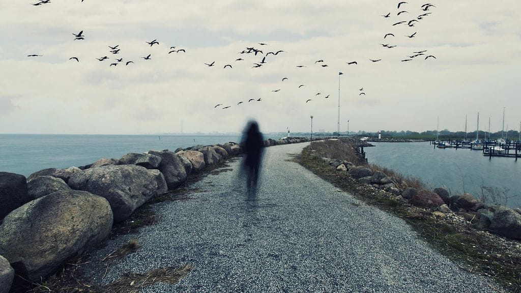 li kertoo tutustuneensa niin sanottuun kuolemattomuuden kvanttiteoriaan. Kuvituskuva.