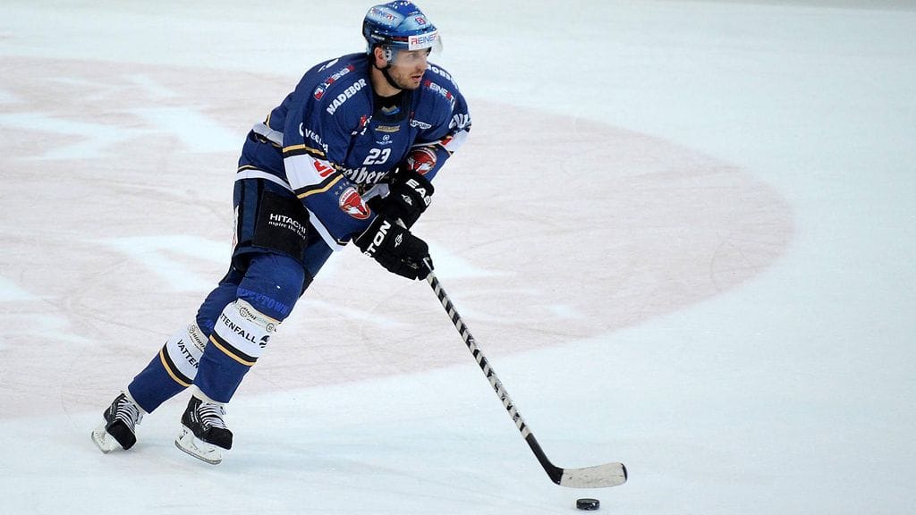 Pavel Brendl pelasi vuonna 2014 Saksan kakkossarjassa Lausitzer Füchsen riveissä.