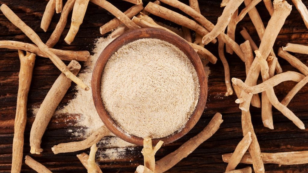 Ashwagandha eli rohtokoisio on tuhansia vuosia vanha lääkekasvi, joka on noussut uuteen suosioon.