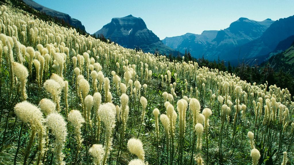 Kuvituskuvaa vuoristoisesta Montanasta.