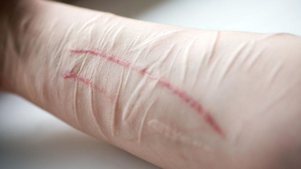 shutterstock_49376728