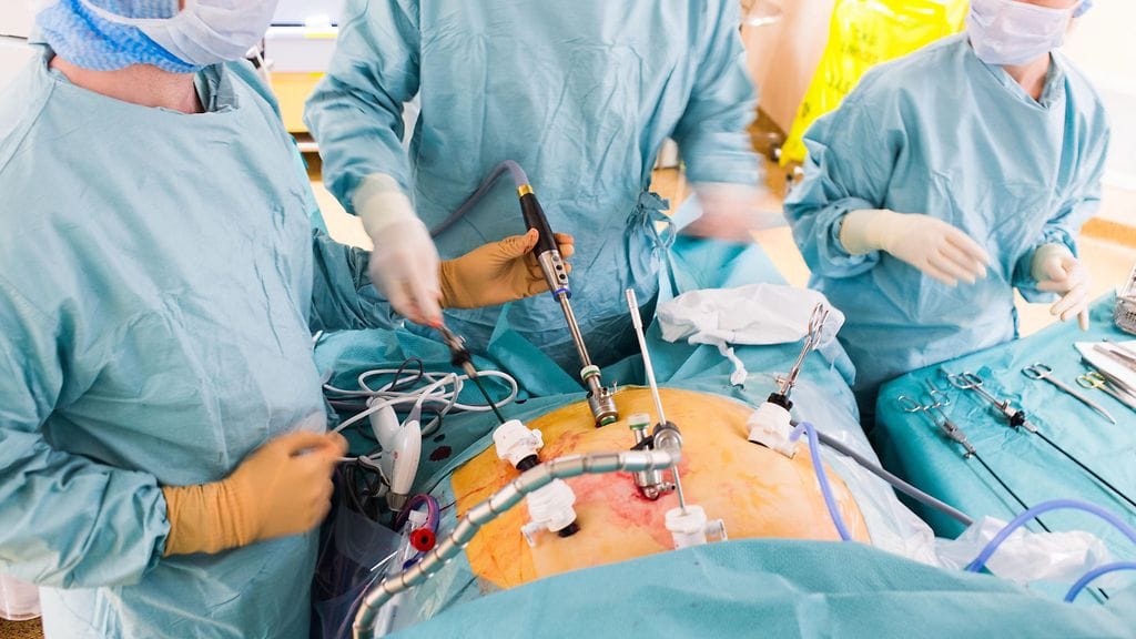 STUDIO-LIHAVUUSLEIKKAUS