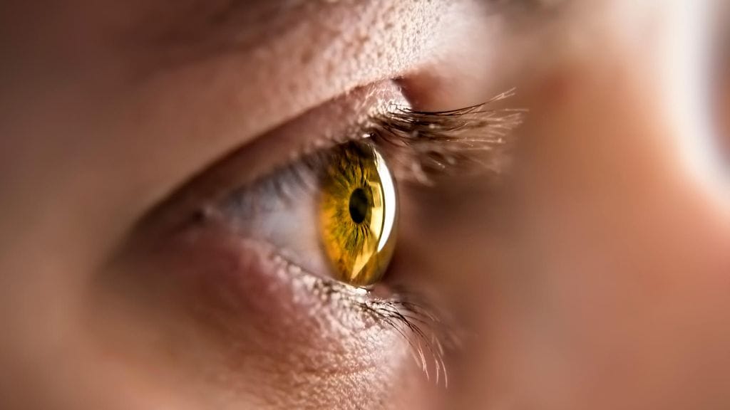 Näyttää vakuuttavalta, mutta huomaamaton nykäys voi paljastaa, jos henkilö valehtelee. Tutkijat kehittävät järjestelmää, joka tunnistaa valehtelijan kasvojen liikkeitä tarkkailemalla.