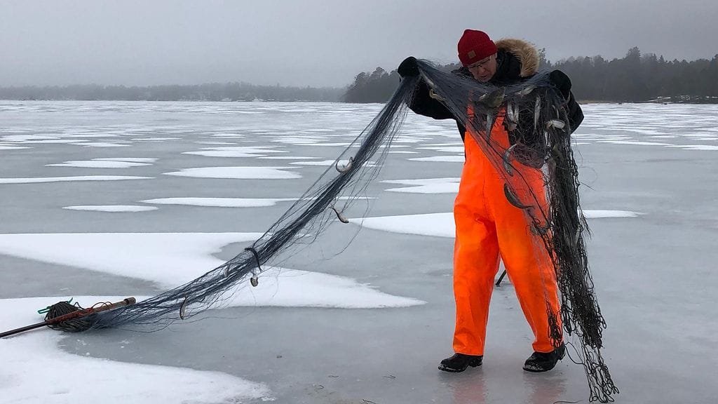 Seppo Knuuttila, talvikalastus, verkot, Itämeri