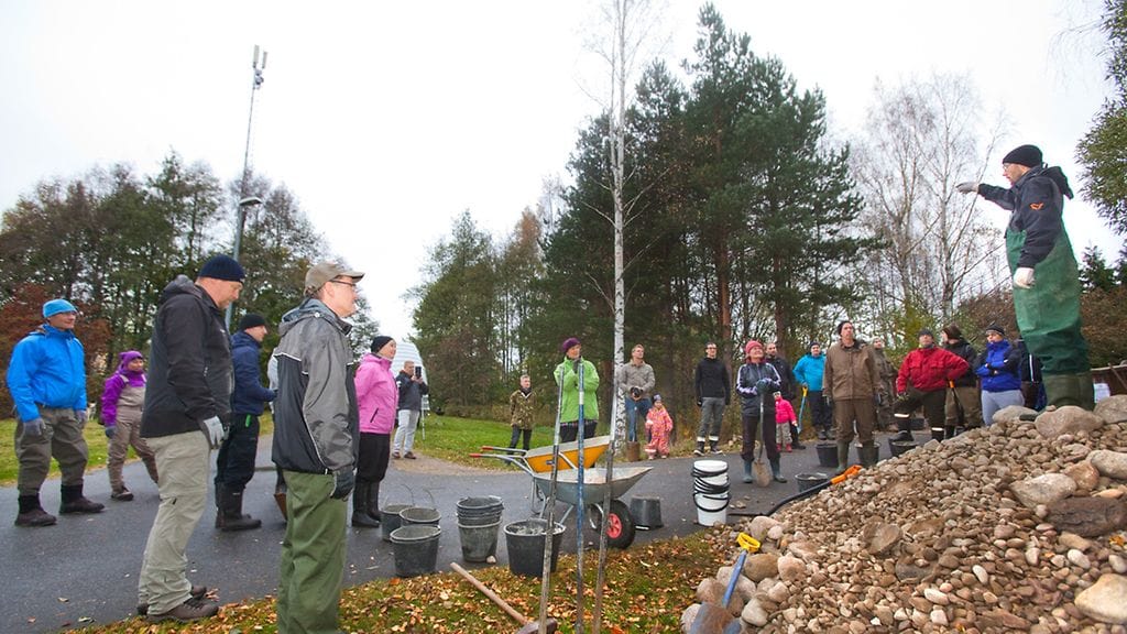 Talkoot Longinojalla.