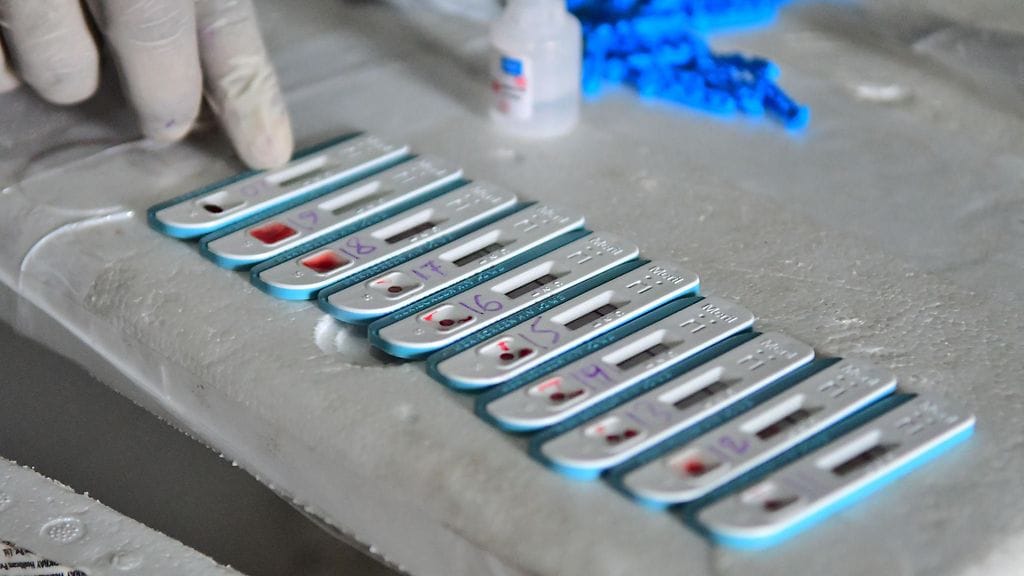 Konkurssiin hakeutunut FIT Biotech on kehittänyt geenipohjaisia hoitomuotoja esimerkiksi syöpiin, hi-virukseen ja ebolaan.