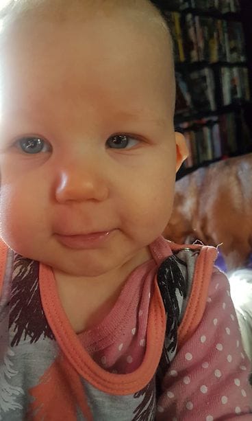 53048571_10156898974206380_1760462916596793344_n