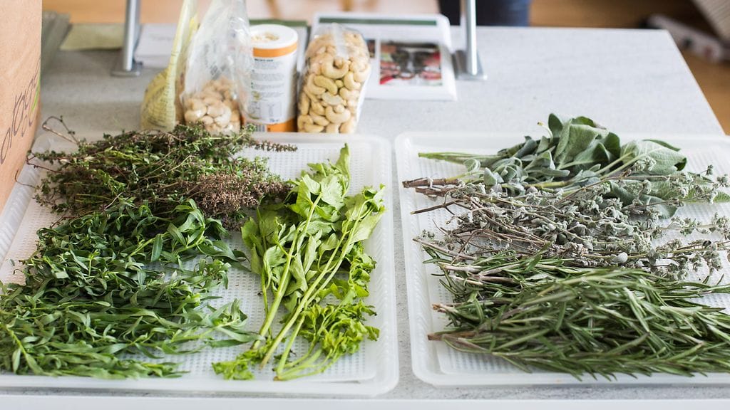 Vaihtoehtoisia hoitomuotoja tarjonnut mies arvioi diabetesta sairastavan pojan tilan kohenevan hänen myymillänsä lääkeyrteillä. Kuvituskuva.