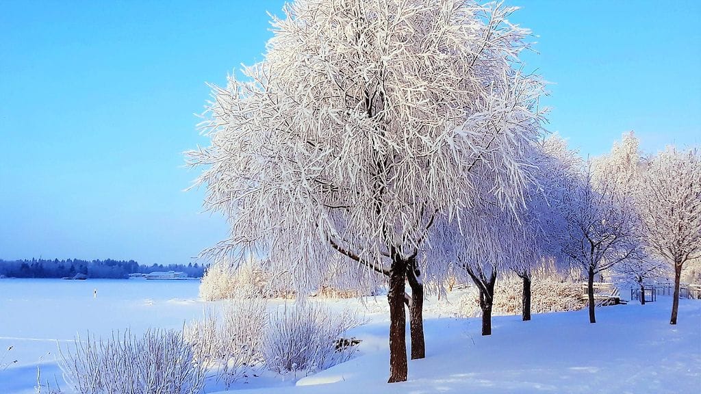 Kuva: Harri Mällinen, Oulu