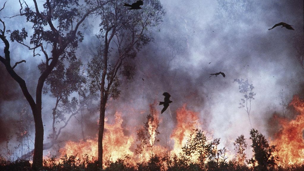 Australiassa riehuvat maastopalot ovat ajaneet tuhansia ihmisiä pois kodeistaan. Myös 23 koulua on jouduttu sulkemaan tulipalojen tieltä.