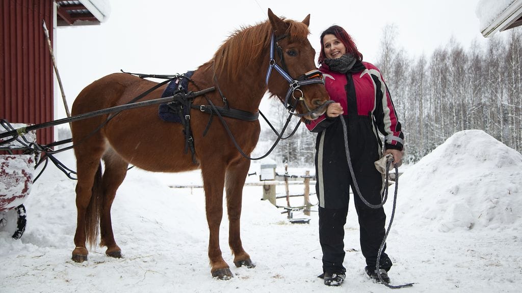 Maajussi-Sari pyörittää kasvihuonetilaa, puuhastelee hevostensa ja aasiensa kanssa sekä nimeää Esko Eerikäisen ihannemiehekseen.