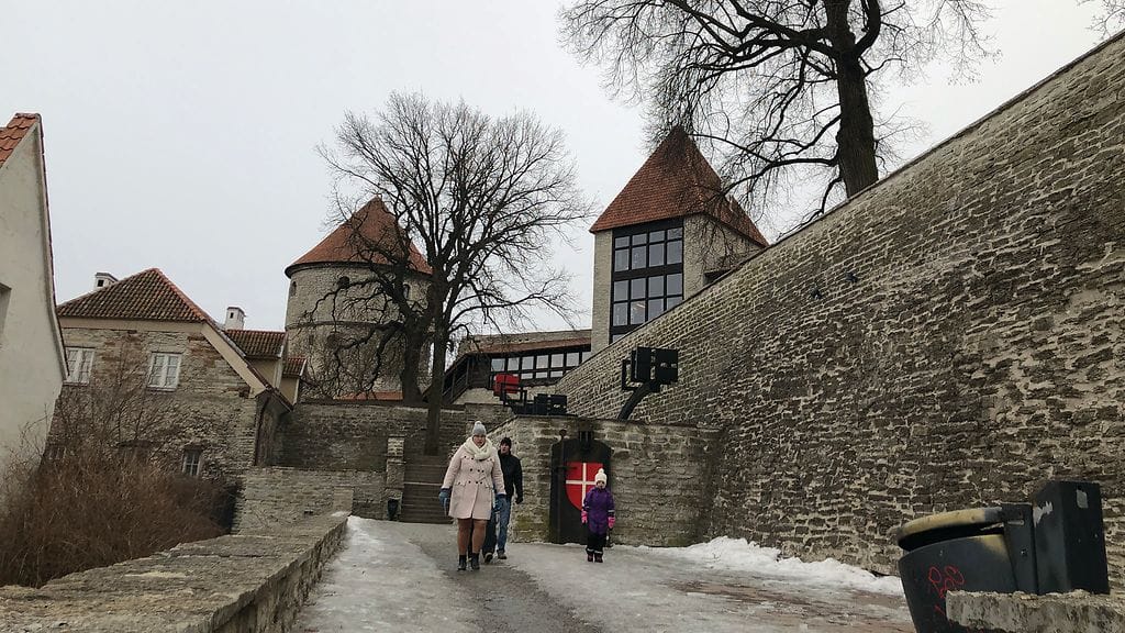 Suomalaisten risteilyt Tallinnaan vähenivät viime kesänä peräti 37 prosenttia edellisvuodesta.