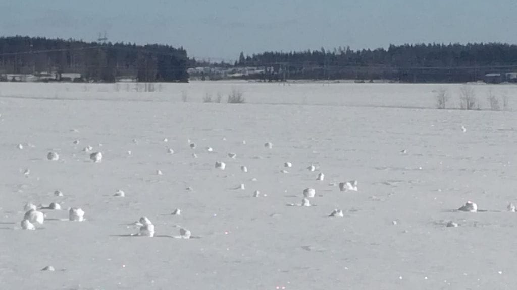 Hemmilä otti kuvan lumirullista Koihaan peltoalueelta.