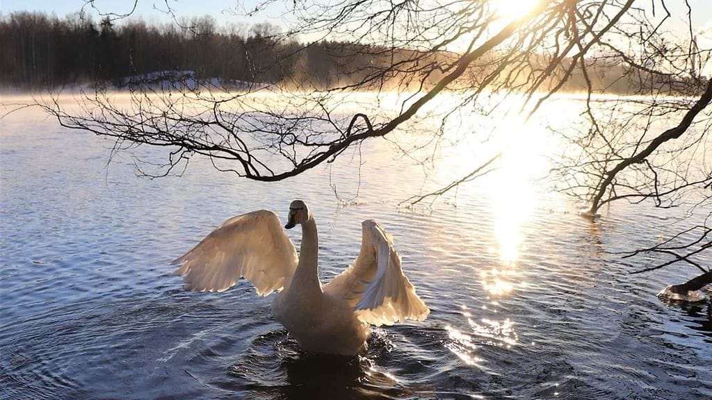 Kylpyvesi lämpenee koko ajan.