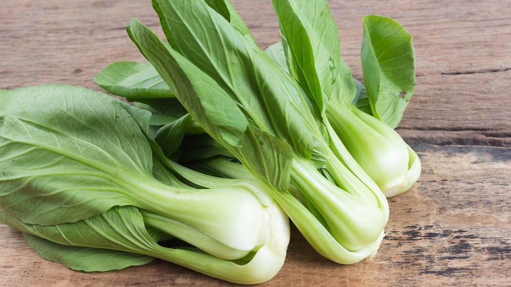 pak choi