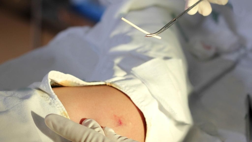 shutterstock_747165409