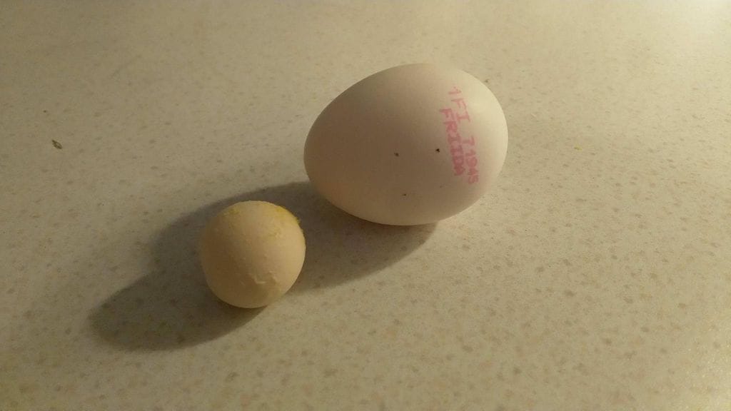 maatuskamuna2 (älä käytä muissa)