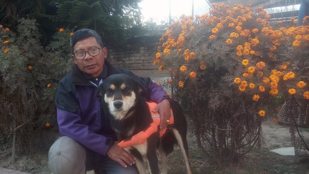 kertajulkaisu baru 2