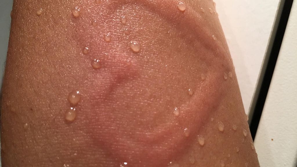 shutterstock_1151352239