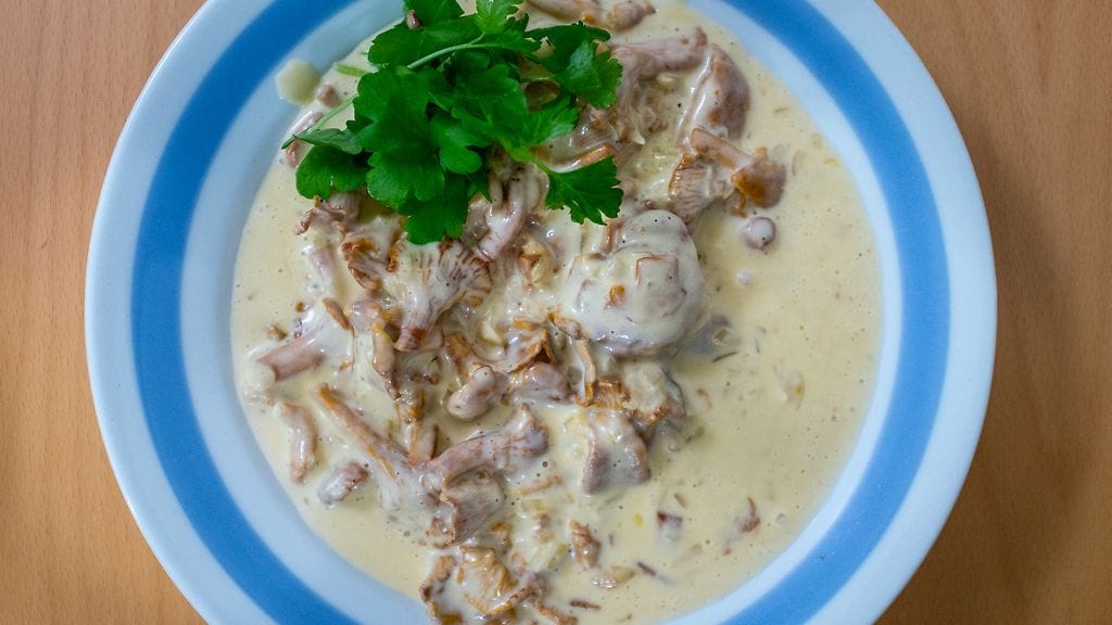 Kaappaus jakso 6 kantarellikastike