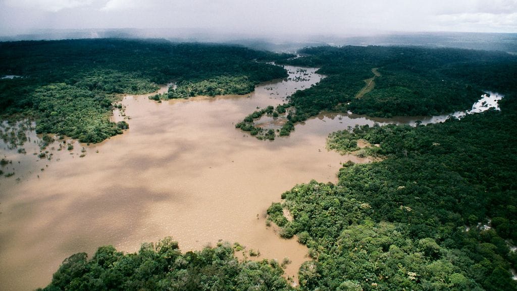 Pienkone katosi Amazonin viidakkoon kuukausia sitten.