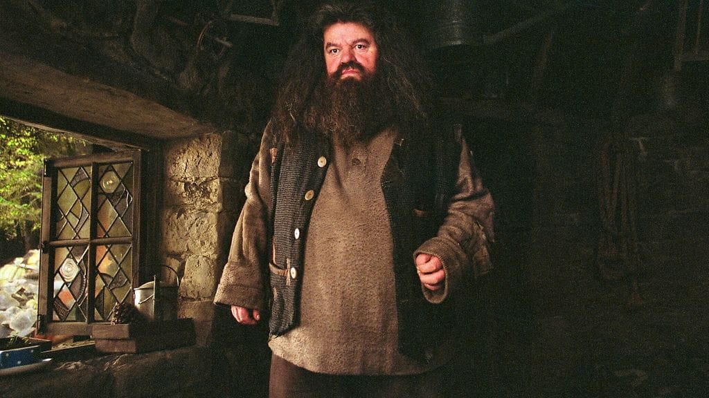 Hagrid