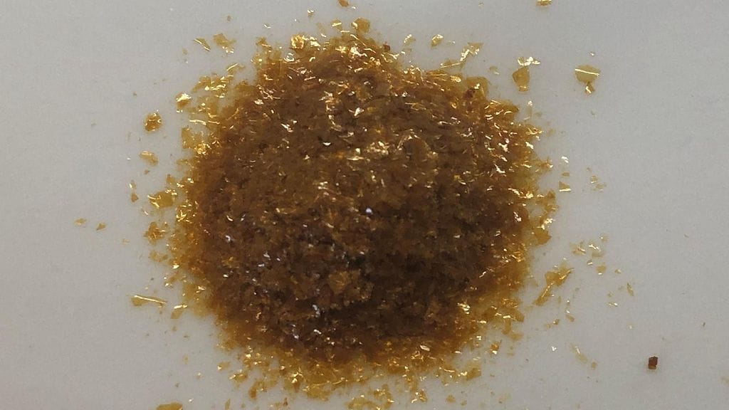 Solar Foods, proteiini