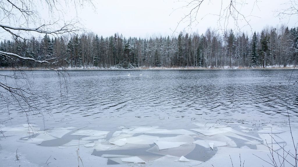 Arkistokuva Kymijoelta. Pelastuslaitos sai aamulla hieman ennen kahdeksaa ilmoituksen soutuveneestä, joka ajelehti tyhjillään Kymijoessa.
