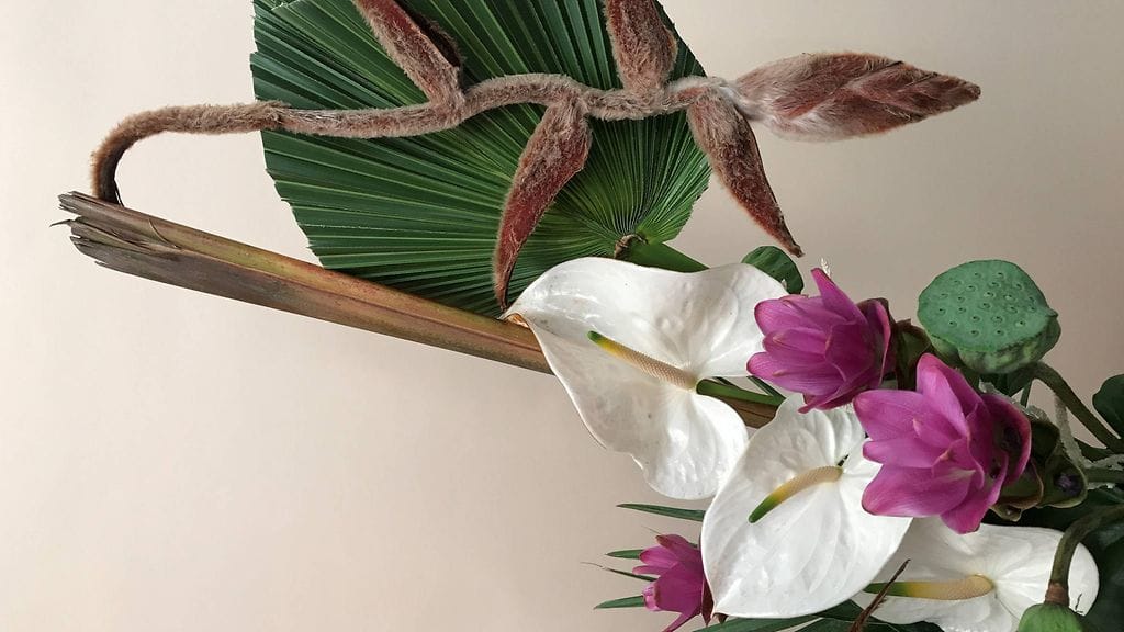 Hanna Piippo by Hanna Piippo