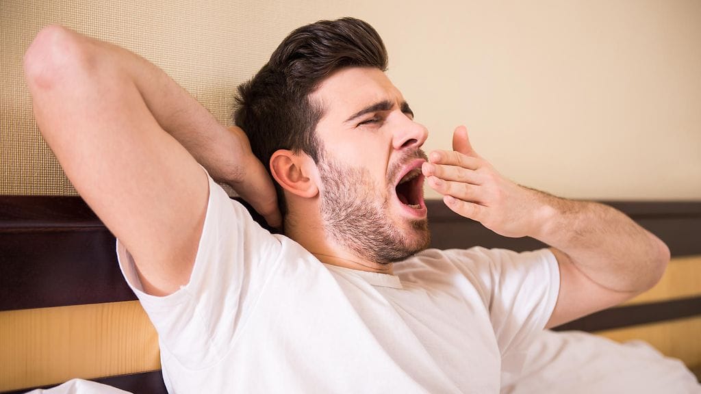 shutterstock_254734102