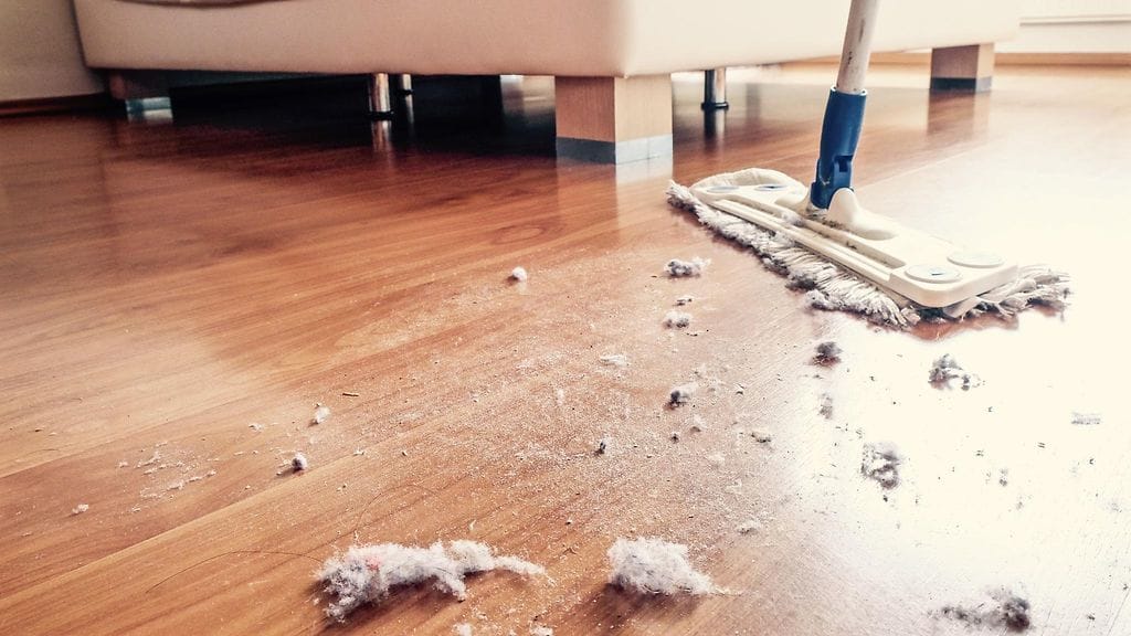 Tutkimus yhdisti huonepölyn sisältämät kemikaalit, hormonihäiriköt, painon nousuun. Kuvituskuva.