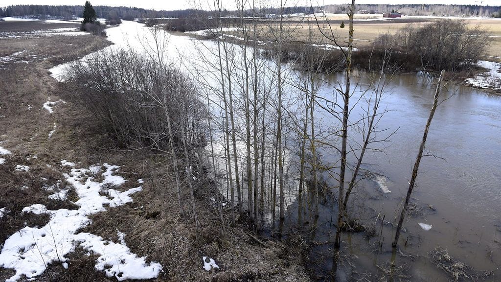 Lämpötila voi kohota tänään jopa kymmeneen asteeseen maan länsiosissa.