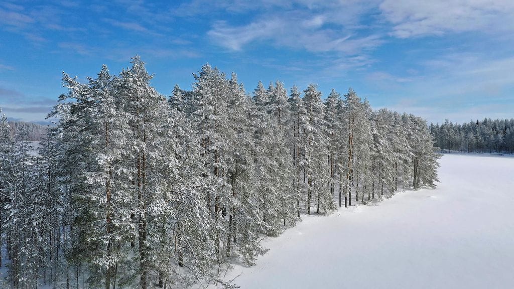 AOP, lumi, metsä, lumihanki, järvi, talvi, maisema