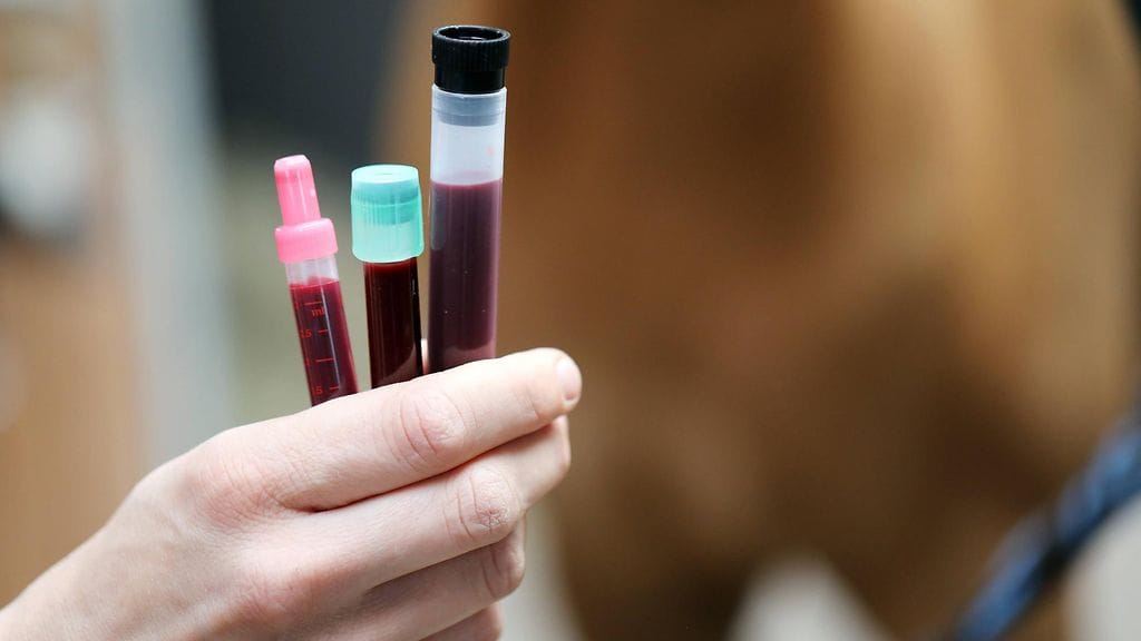 Dopingpommi muhii urheilussa.