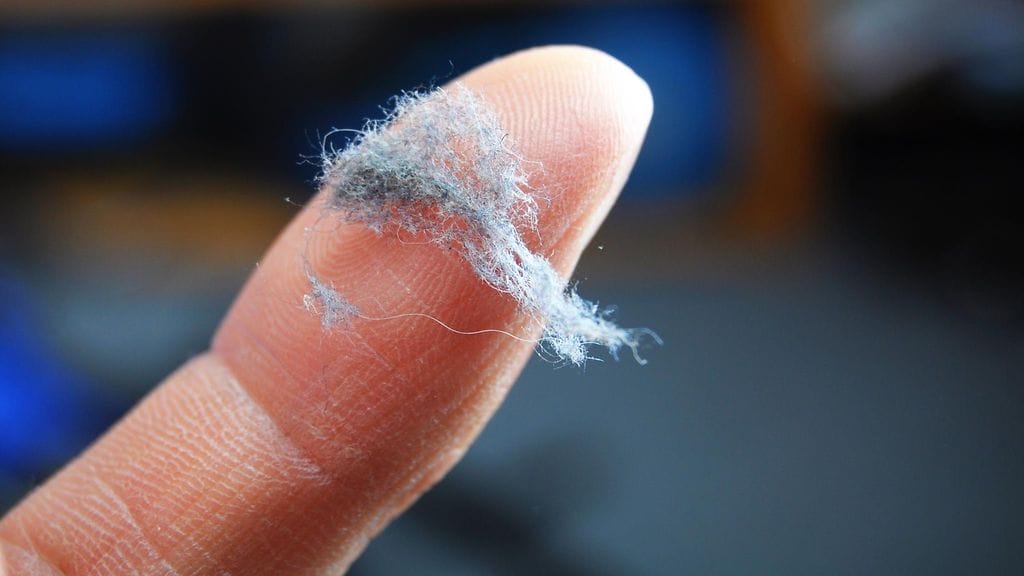 shutterstock_100584340