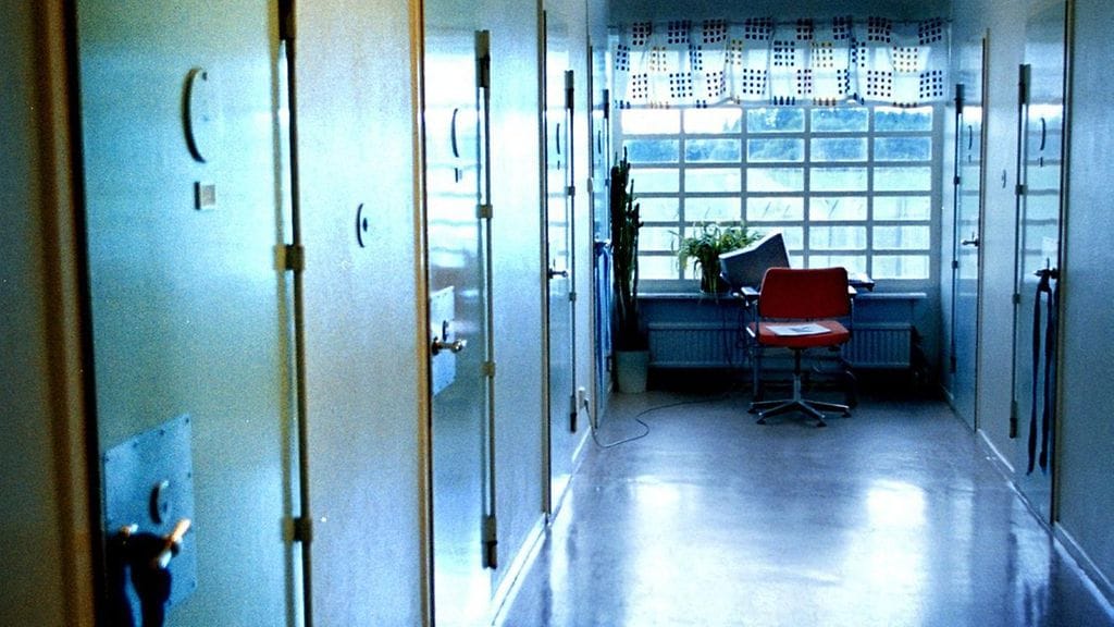 Puhdistajavankien tehtäviin kuului erilaisia puhdistus ja aputöitä.