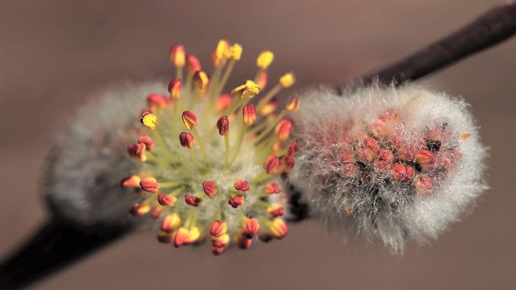 Poikkeuksellisen lämmin sääjakso on pian ohi.