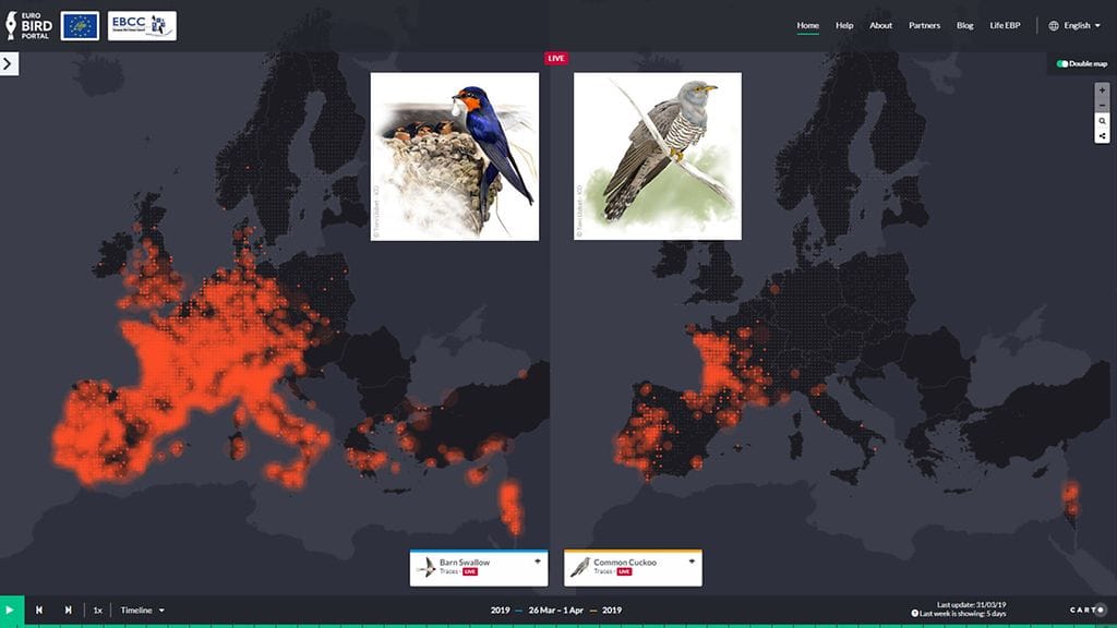 EuroBirdPortal, linnut